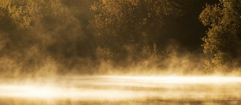 Exposition « Aqua Songe ? » par Franny Tay du 2 au 22 juin 2023