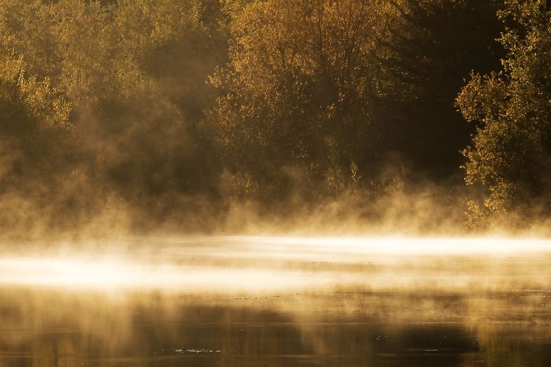vapeur d'automne 60x40.jpg