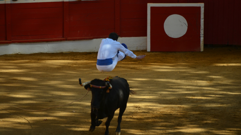 Retour des arènes démontables dans le cadre de Pentecôtavic 2023 !