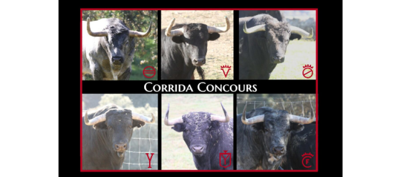Feria del Toro 2023 : le retour de la corrida-concours