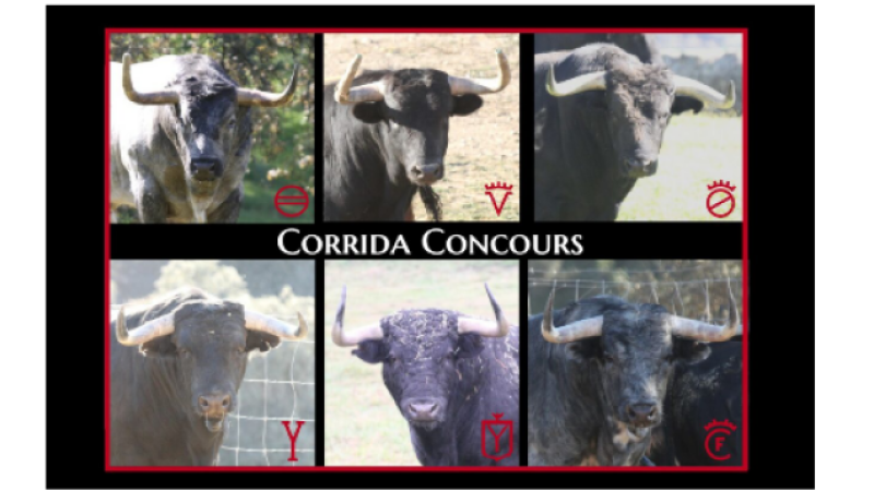 Feria del Toro 2023 : le retour de la corrida-concours