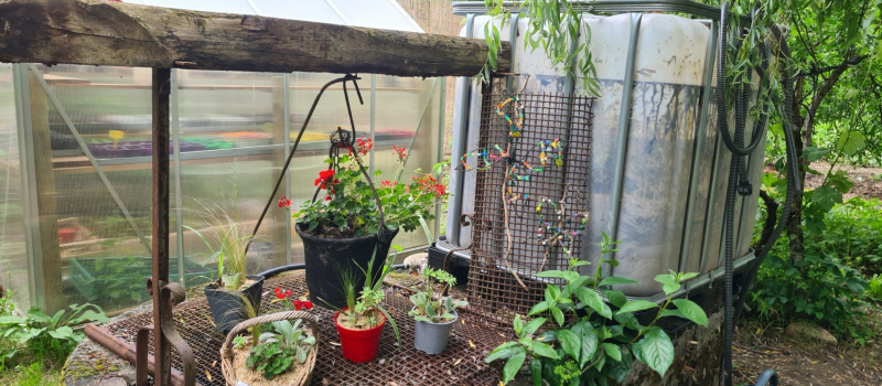 Floralies et troc de graines, fleurs, plantes, arbustes, livres et outillages