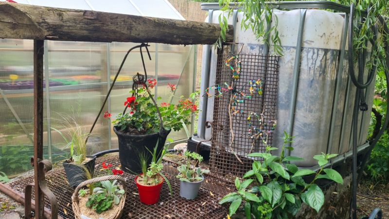 Floralies et troc de graines, fleurs, plantes, arbustes, livres et outillages