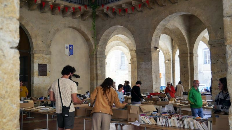 Vide-bibliothèque et cultures geeks à Fleurance