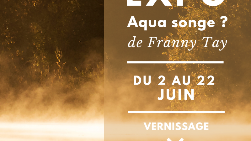 Annulation de l'expo "aqua songe" de Franny Tay