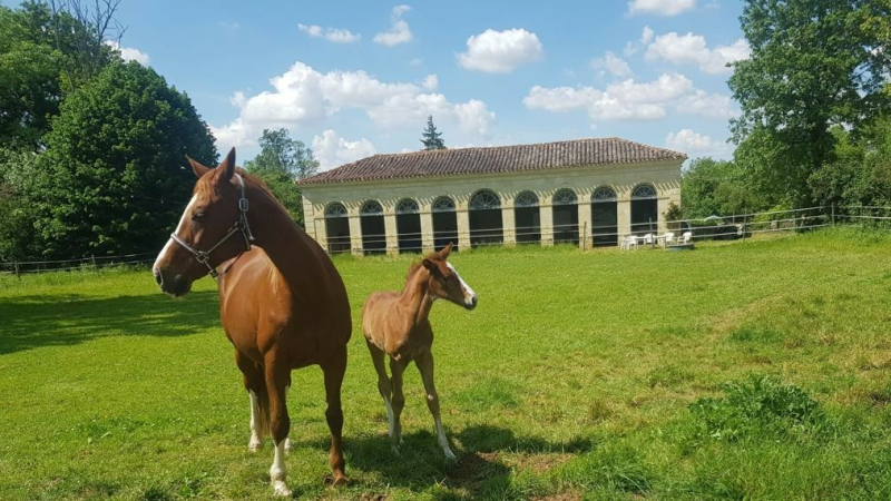 Lectoure à voix haute invite Caster à Choeur au Haras d'Olympe dimanche 11 juin à 17h.