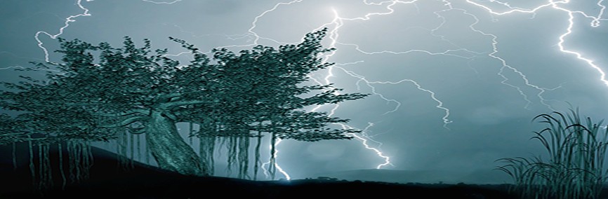 eclairs chute foudre orages.jpg