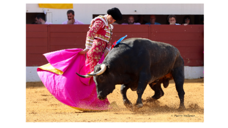 Feria del toro 2023 : retour sur la journée de lundi  par le président du Club Taurin Vicois, André Cabannes