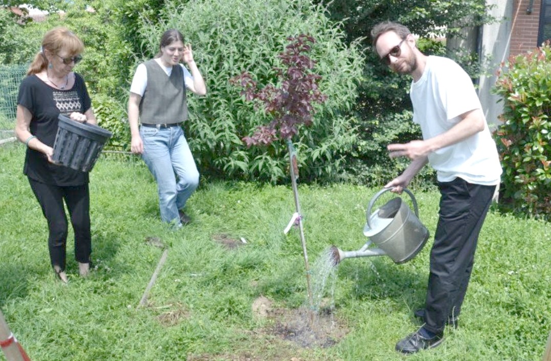 pop'n tree 4.jpg