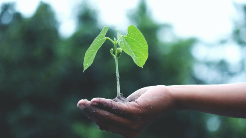 Eco Tempo invite les commerçants : l’occasion de s’impliquer et s’engager dans des actions durables