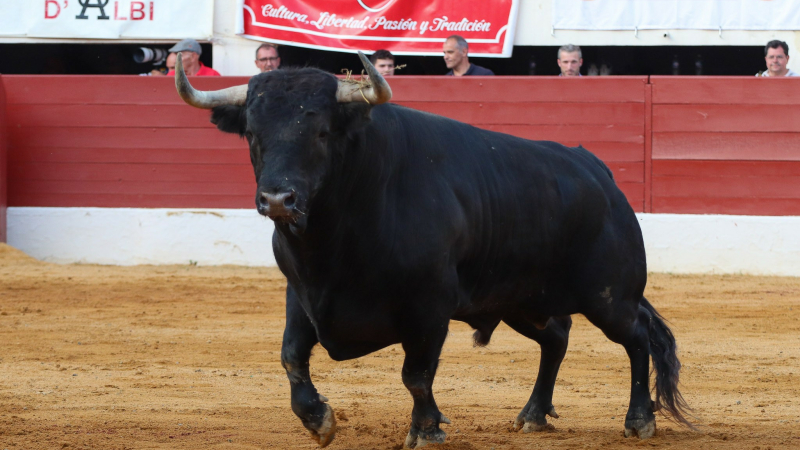 Prix de la feria del toro 2023