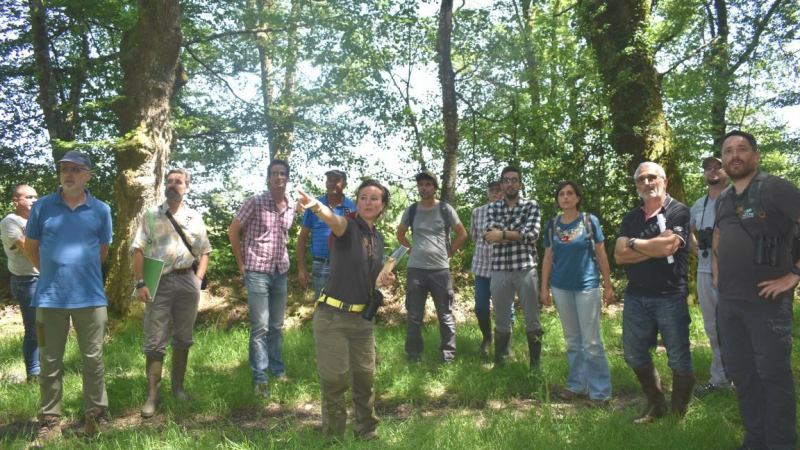 Le bois du Marais, un site exceptionnel à préserver