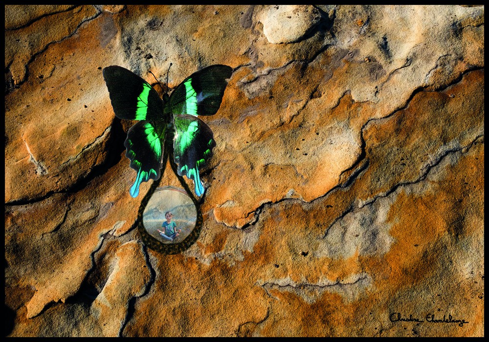 Christine Chanteleauze exposera ses oeuvres Ph C. Chantelauze
