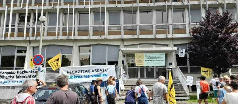 La Confédération paysanne communique : "L’État est responsable des crises successives de grippe aviaire"