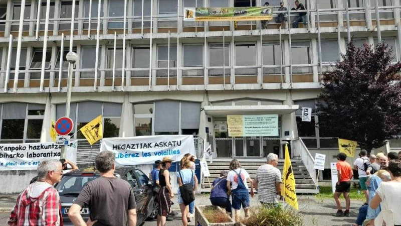 La Confédération paysanne communique : "L’État est responsable des crises successives de grippe aviaire"