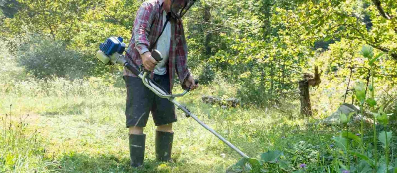 Débroussailler son terrain et les abords de son habitation, une obligation et un investissement pour sa sécurité face aux feux de forêt et de végétation