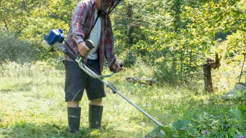 Débroussailler son terrain et les abords de son habitation, une obligation et un investissement pour sa sécurité face aux feux de forêt et de végétation
