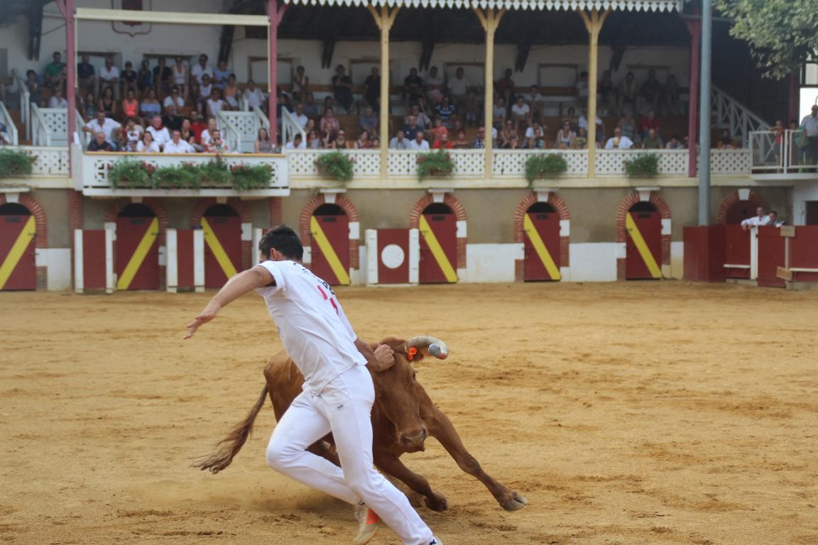 Raseteur du Sud Ouest