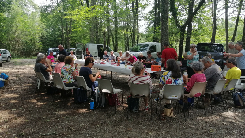 Section marche santé du club de gymnastique volontaire : le bois de Mazous comme cadre pour la dernière marche de la saison