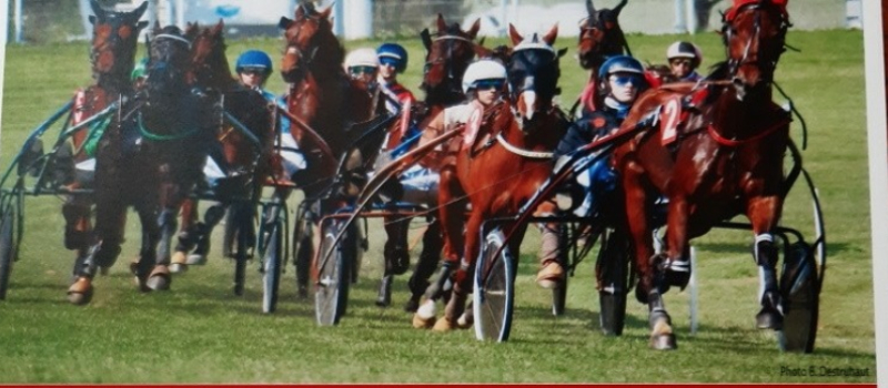 Courses de chevaux