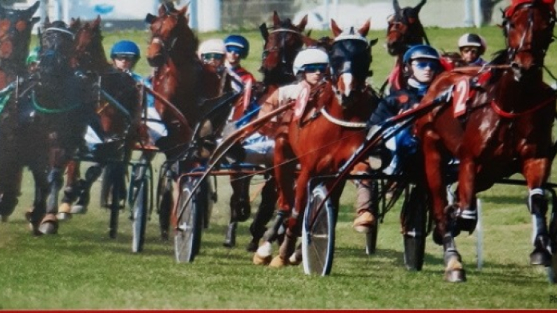 Courses de chevaux