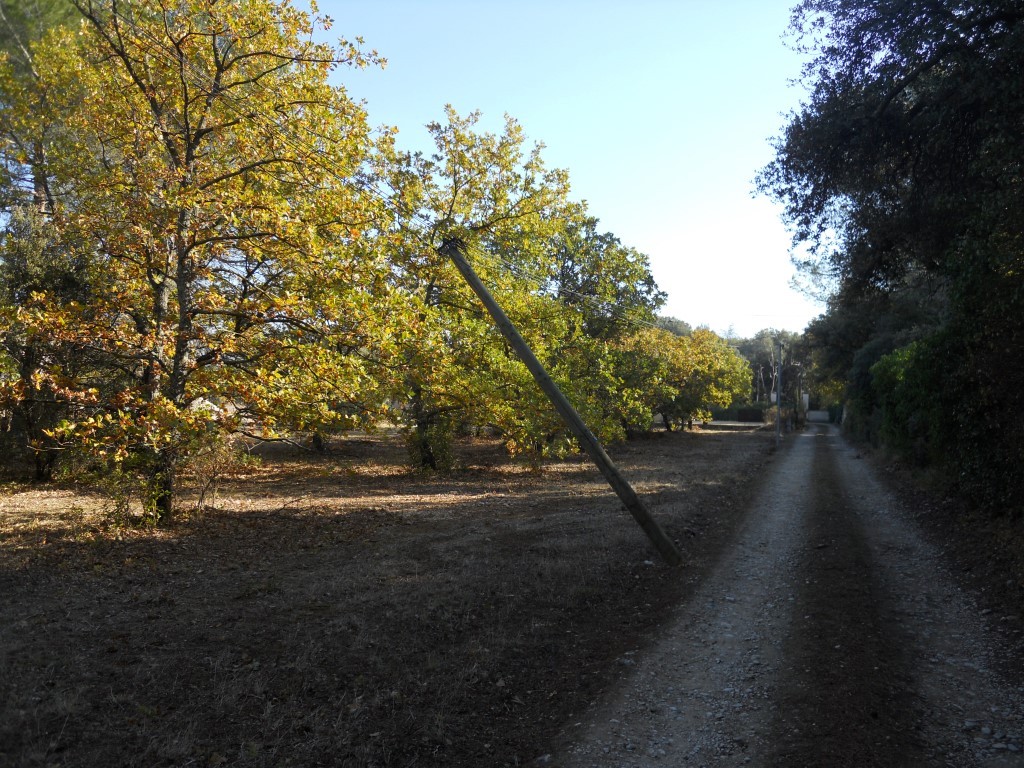 DSCN0348.jpg