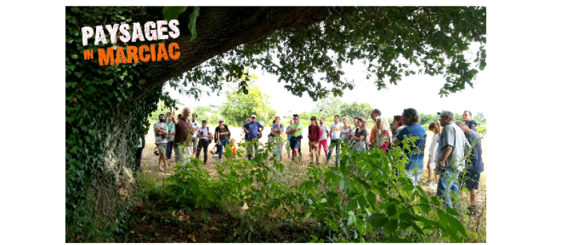 Paysages in Marciac : 15e édition du grand festival de l'agroécologie