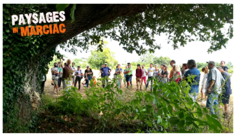Paysages in Marciac : 15e édition du grand festival de l'agroécologie