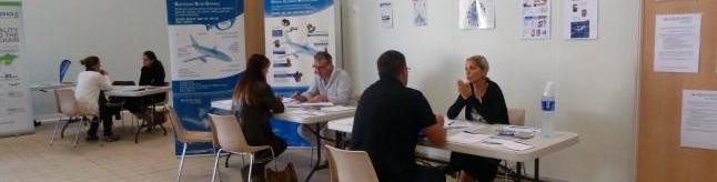 20150903184529Forumemploijpg_646x2000.jpg