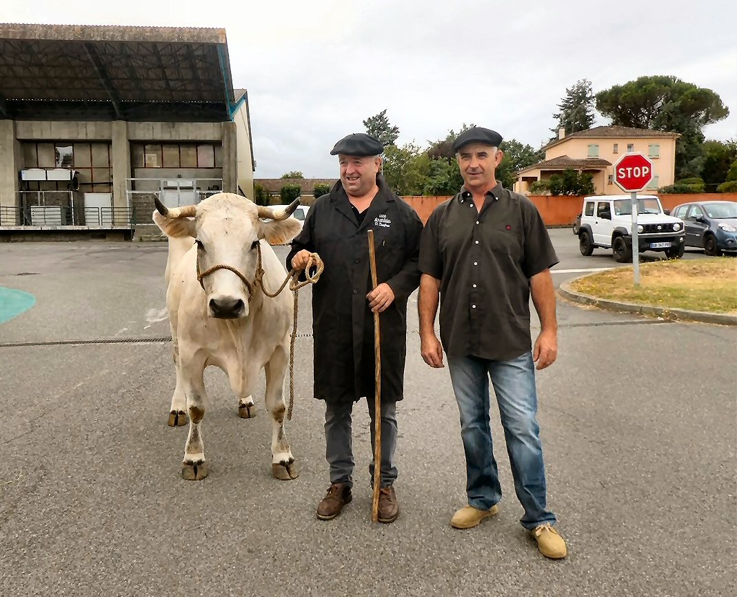 Arrivée de Mimosa avec Daniel et Hervé, ses éleveurs