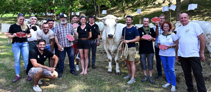 La foire de la Madeleine de plus en plus fréquentée