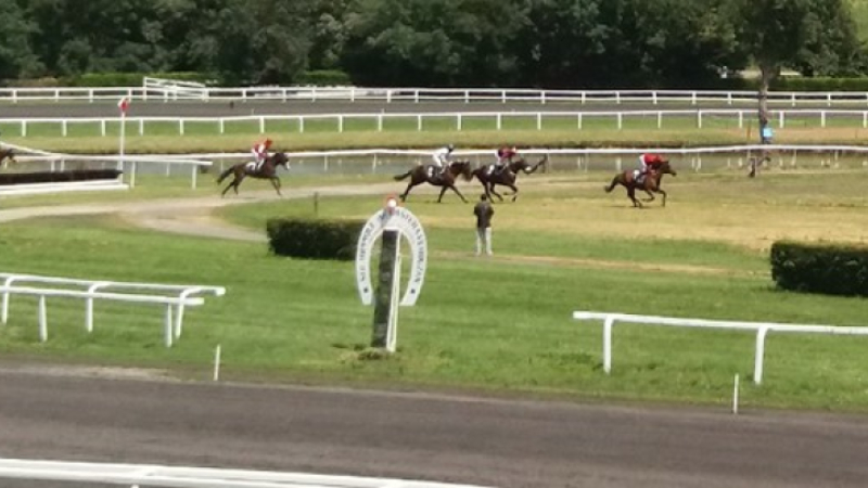 La saison hippique bat son plein