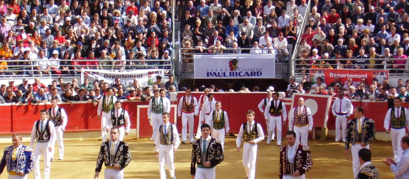 Course landaise formelle  avec les Champions de France sauteurs et écarteurs !