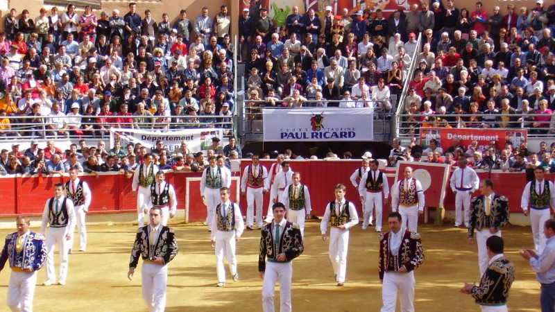Course landaise formelle  avec les Champions de France sauteurs et écarteurs !