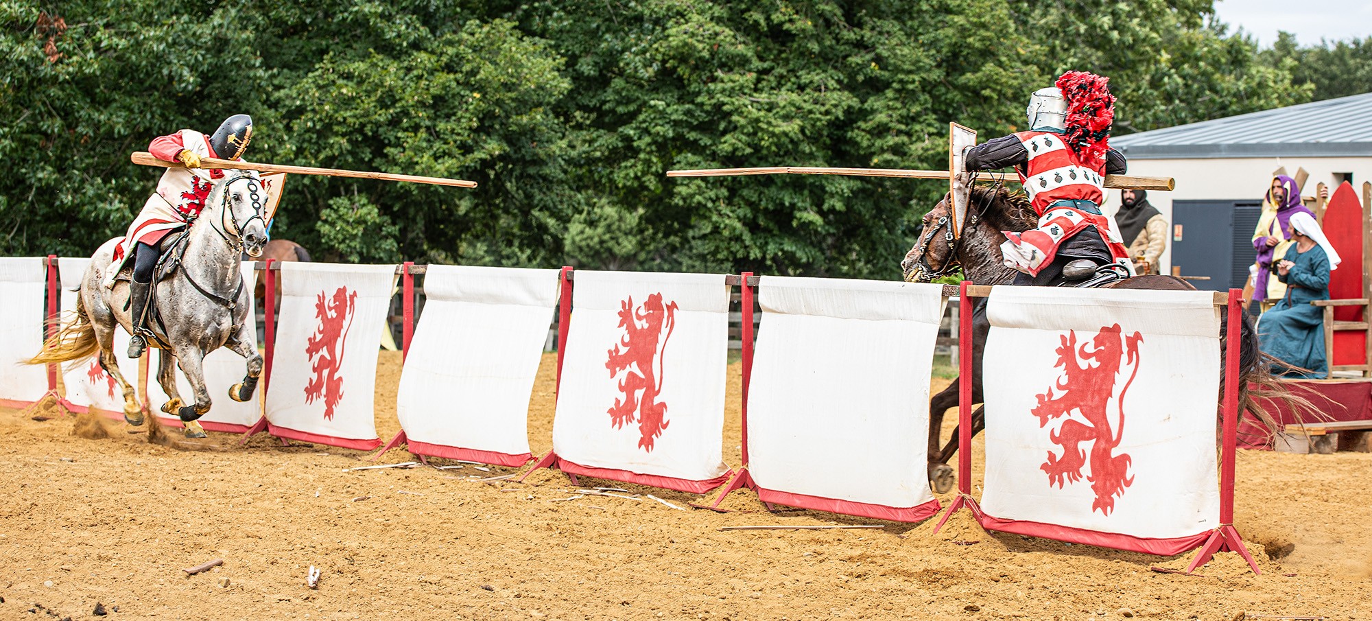 0 Au galop lance en avant 050823.jpg