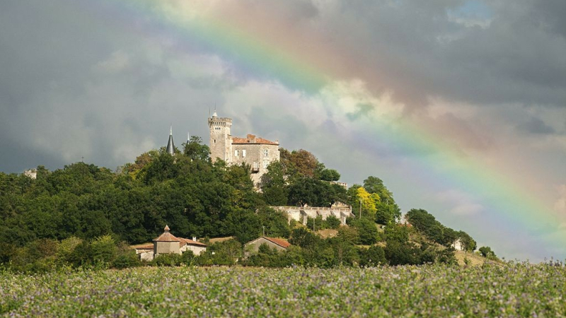 Le chemin de Saint-Jacques de Compostelle à l'honneur cet été