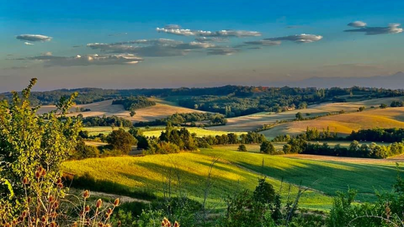 Ouverture du Festival Cordes en Gascogne