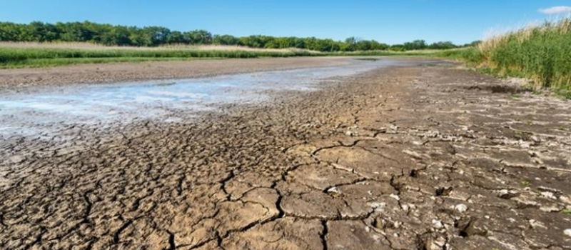 Canicule et sécheresse : à quel niveau d'alerte nous situons-nous ?