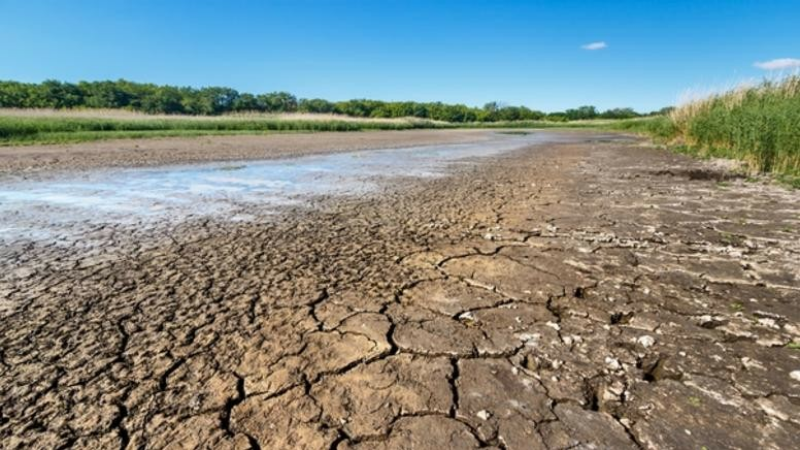 Canicule et sécheresse : à quel niveau d'alerte nous situons-nous ?