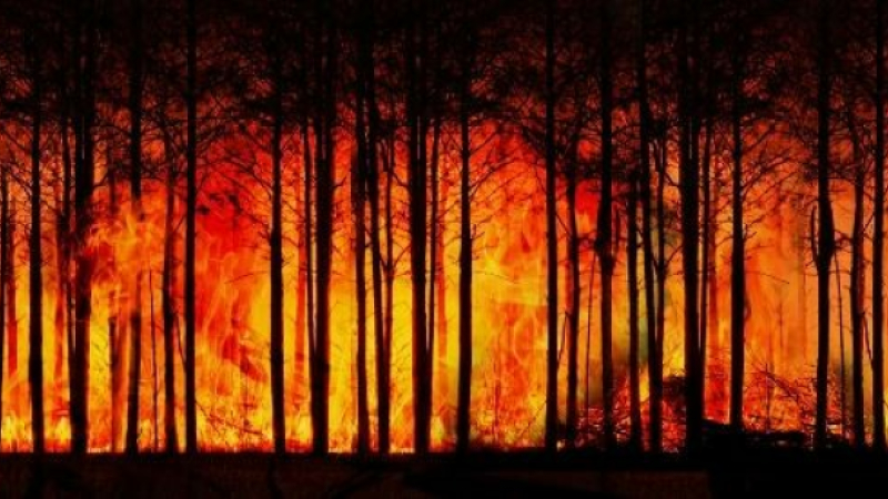 Sécurité, lutte contre les feux de forêt : des moyens supplémentaires pour le Gers