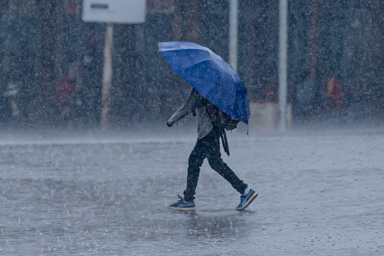 vent pluie.jpg
