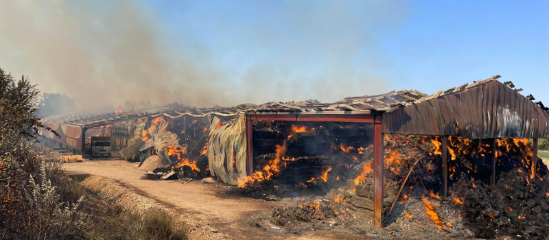 Bilan des 3 incendies majeurs qui ont frappé le département ce jeudi
