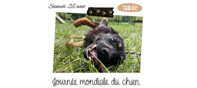 Capture d’écran 2023-08-26 215202.png