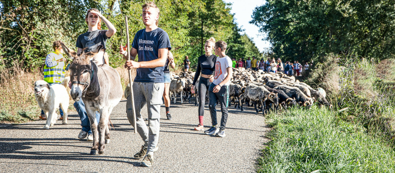 Au Musée du paysan gascon de Toujouse: grande fête populaire et le troupeau qui arrive d'estive les 16 et 17 septembre