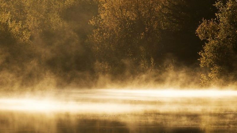 Fleurance : Exposition « Aqua Songe ? » par Franny Tay