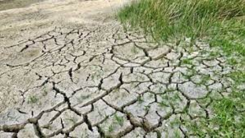 pertes de fonds sur noisetiers, amandiers, vignes, prairies temporaires et permanentes.