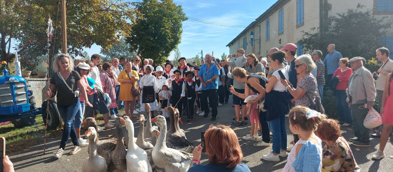 La foire aux oies est annulée
