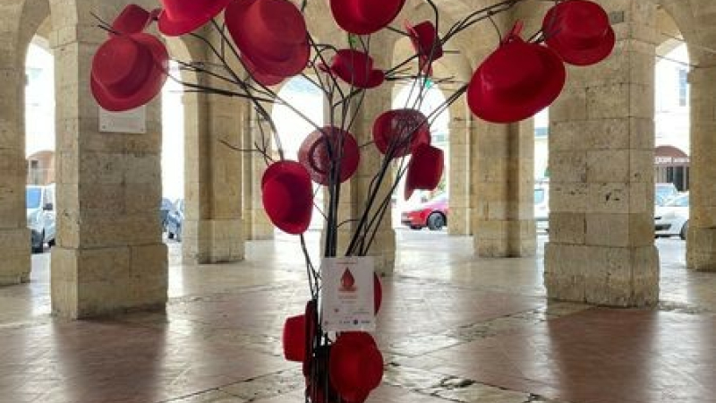 Septembre rouge, mois de sensibilisation aux cancers du sang