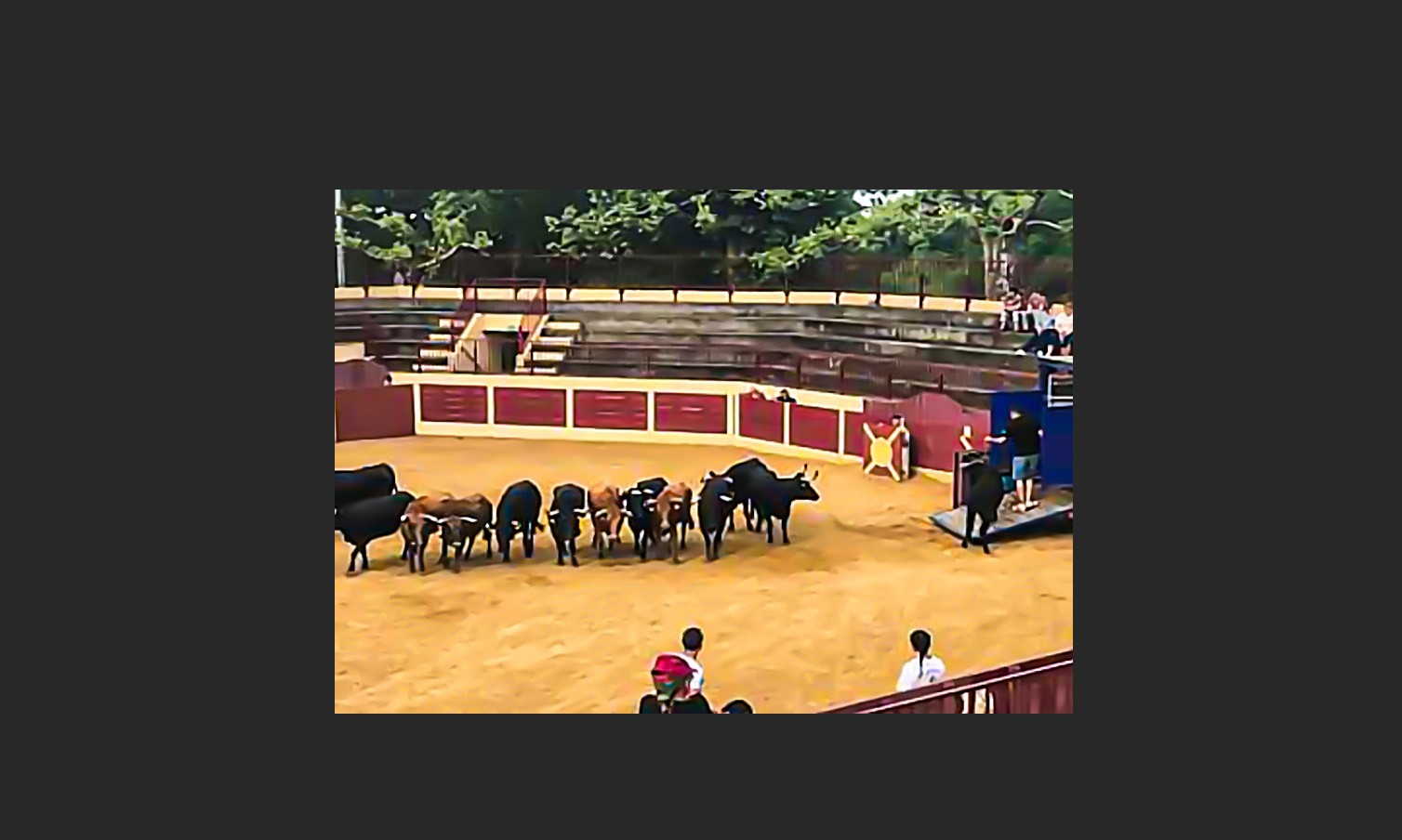 DR 0 PGuichanné Arènes du Houga.jpg