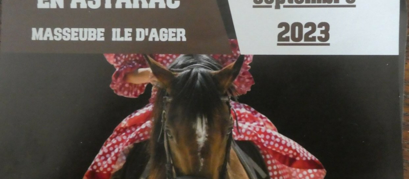 Deux journées dédiées au Cheval  avec différentes animations